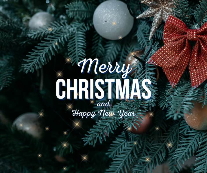 Merry Christmas and Happy New Year!