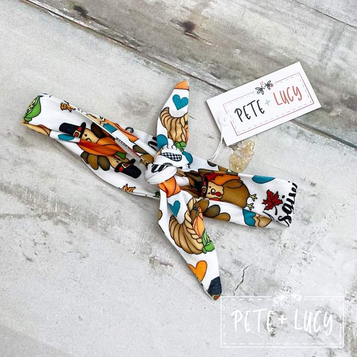 Fun Thanksgiving Tie Band